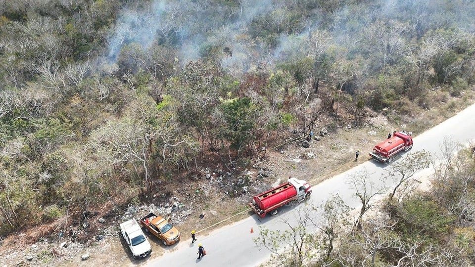 Incendios forestales arrasan con 60 hectáreas en Tulum